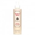Burt's Bees Radiance Facial Cleanser