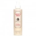 Burt's Bees Radiance Facial Cleanser