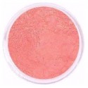 Zenz Blush no. 40 Rosalie